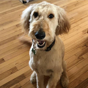 Meet your Posher, Karma